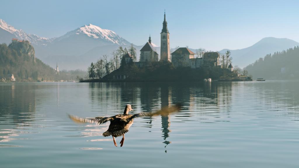 Apartments Vila Cvetka Bled Luaran gambar